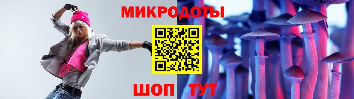 Псилоцибиновые грибы мицелий Гурьевск