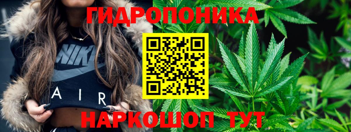 Шишки марихуана индика  Шишки марихуана White Widow  Гурьевск  Вход с VPN  МАРИХУАНА план 